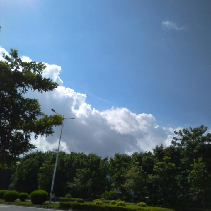 宓媛