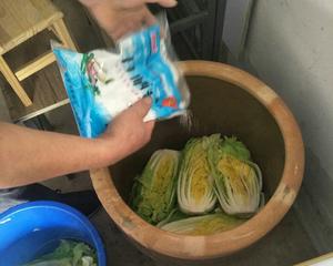 家庭积酸菜的做法 步骤5