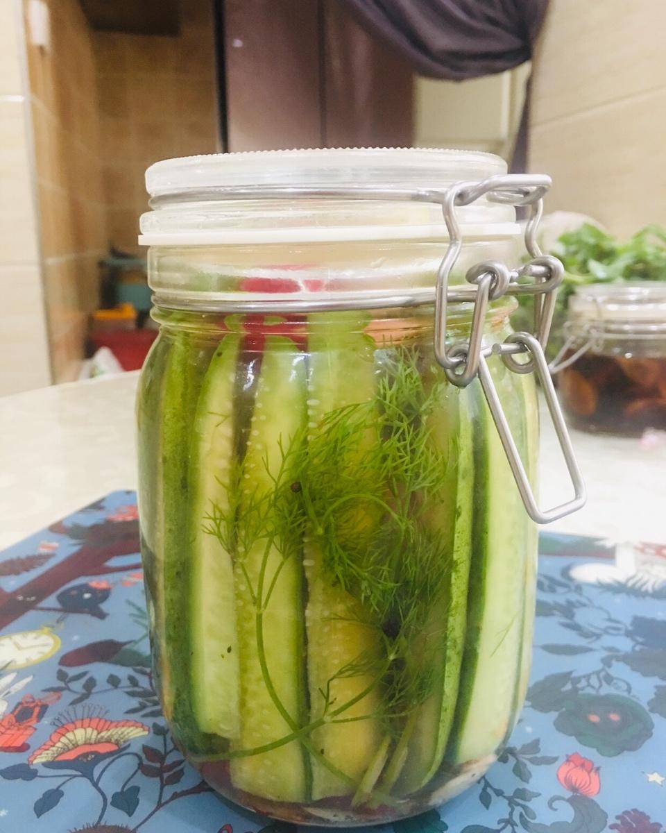【健康泡菜】美式酸黄瓜Dill pickles