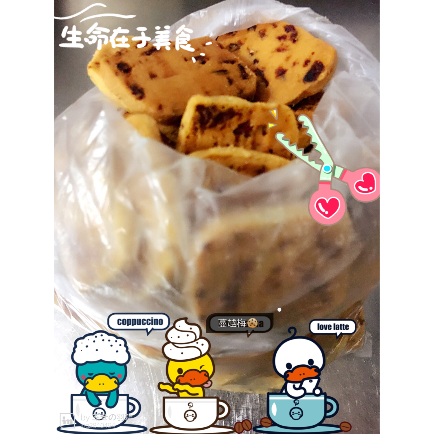 《Tinrry+》蔓越莓曲奇（超简单曲奇配方）