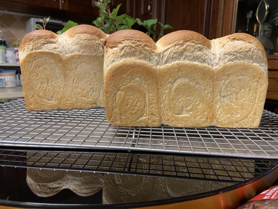 《银座顶级吐司》—— 全麦粒吐司（冷藏发酵）