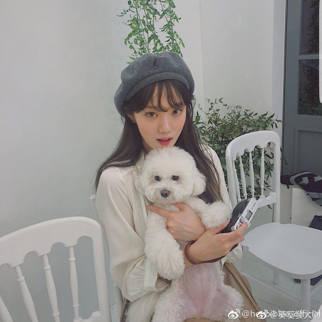 隔壁一只蛋黄包