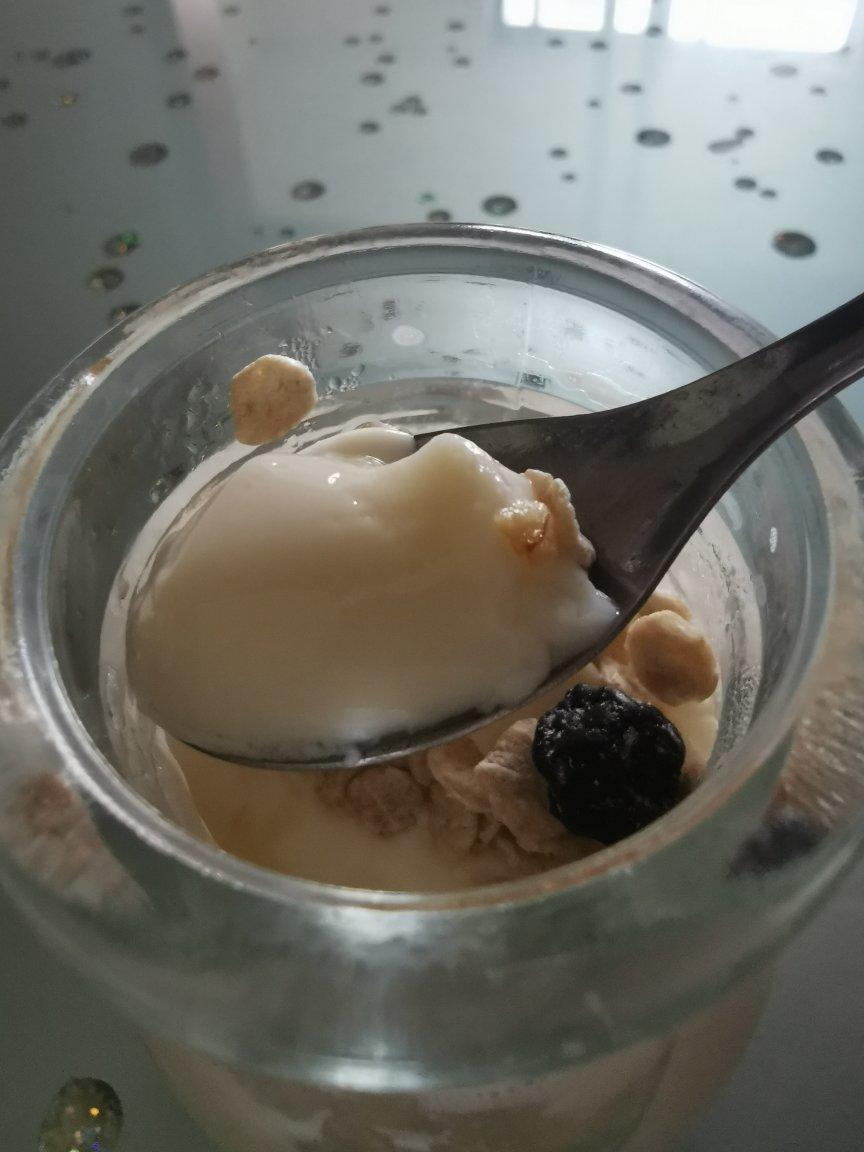 顺德双皮奶