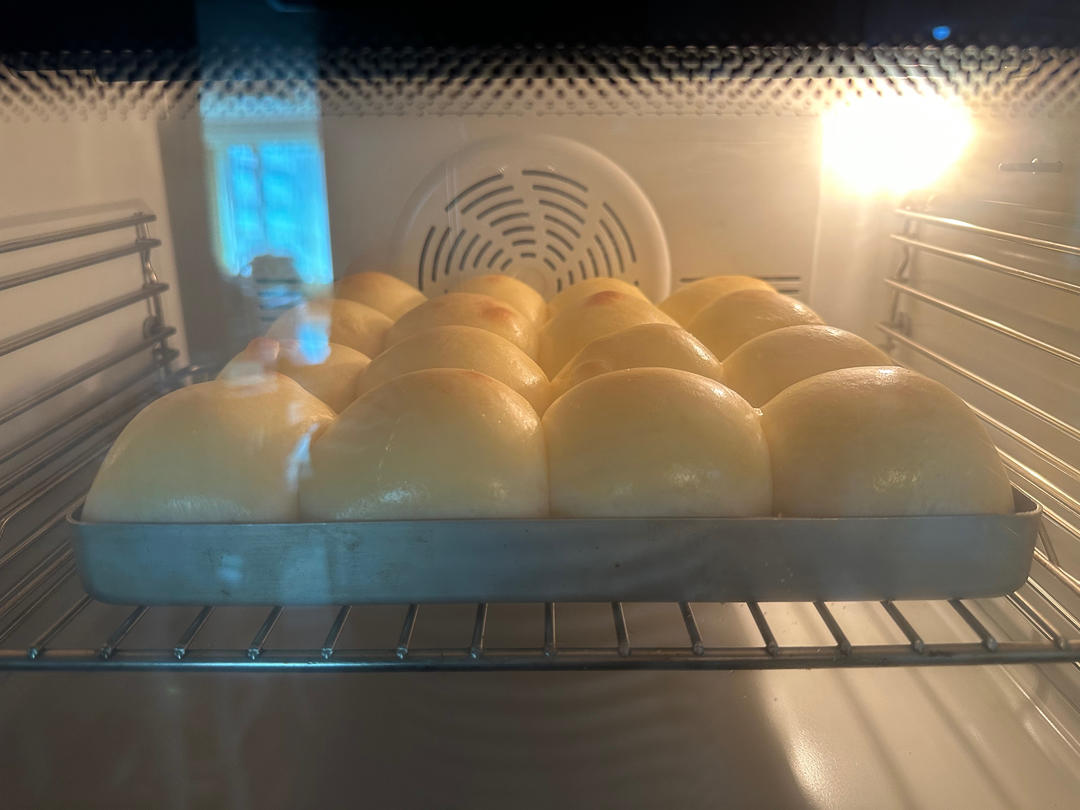 鲜奶油小餐包（一次发酵）