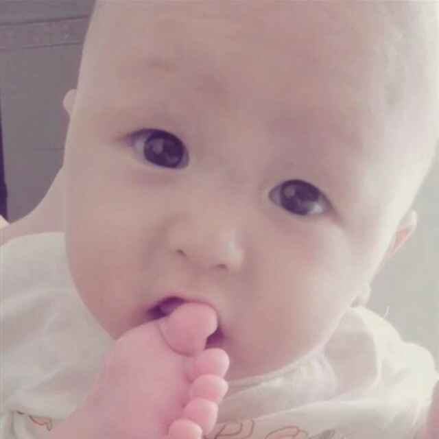 杨家女女520