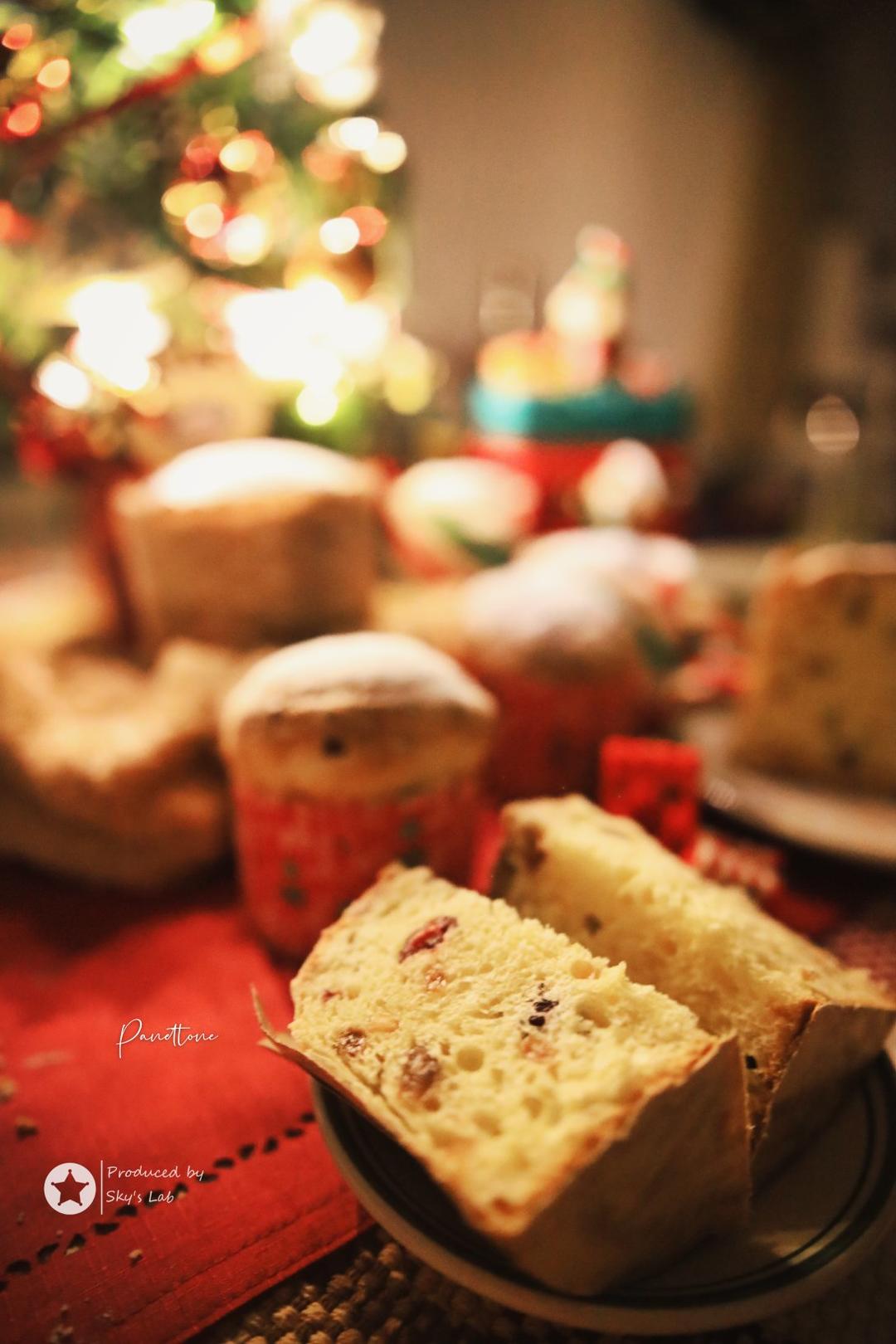潘娜托尼 圣诞面包           Panettone（中种法）