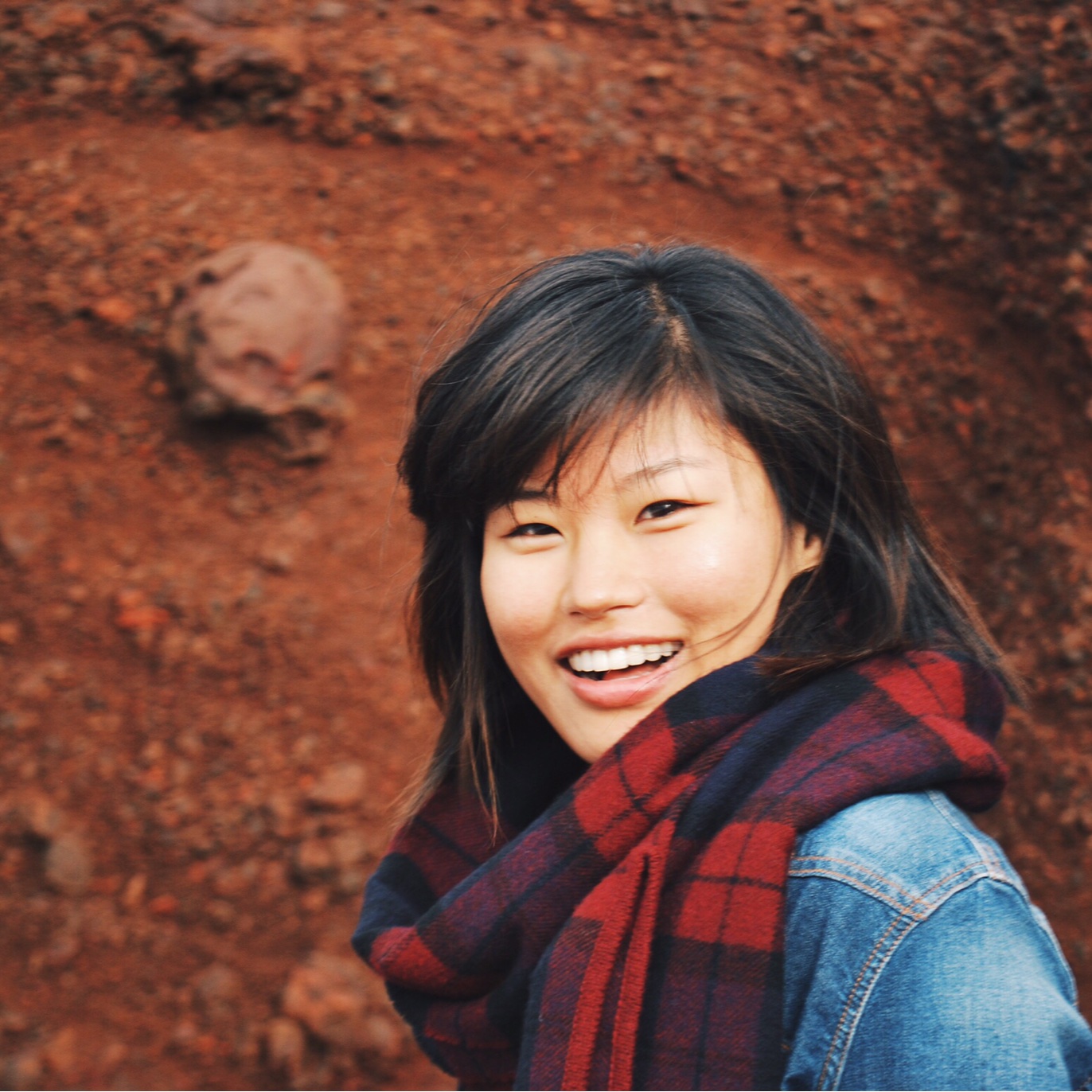 漫食漫游的橘子