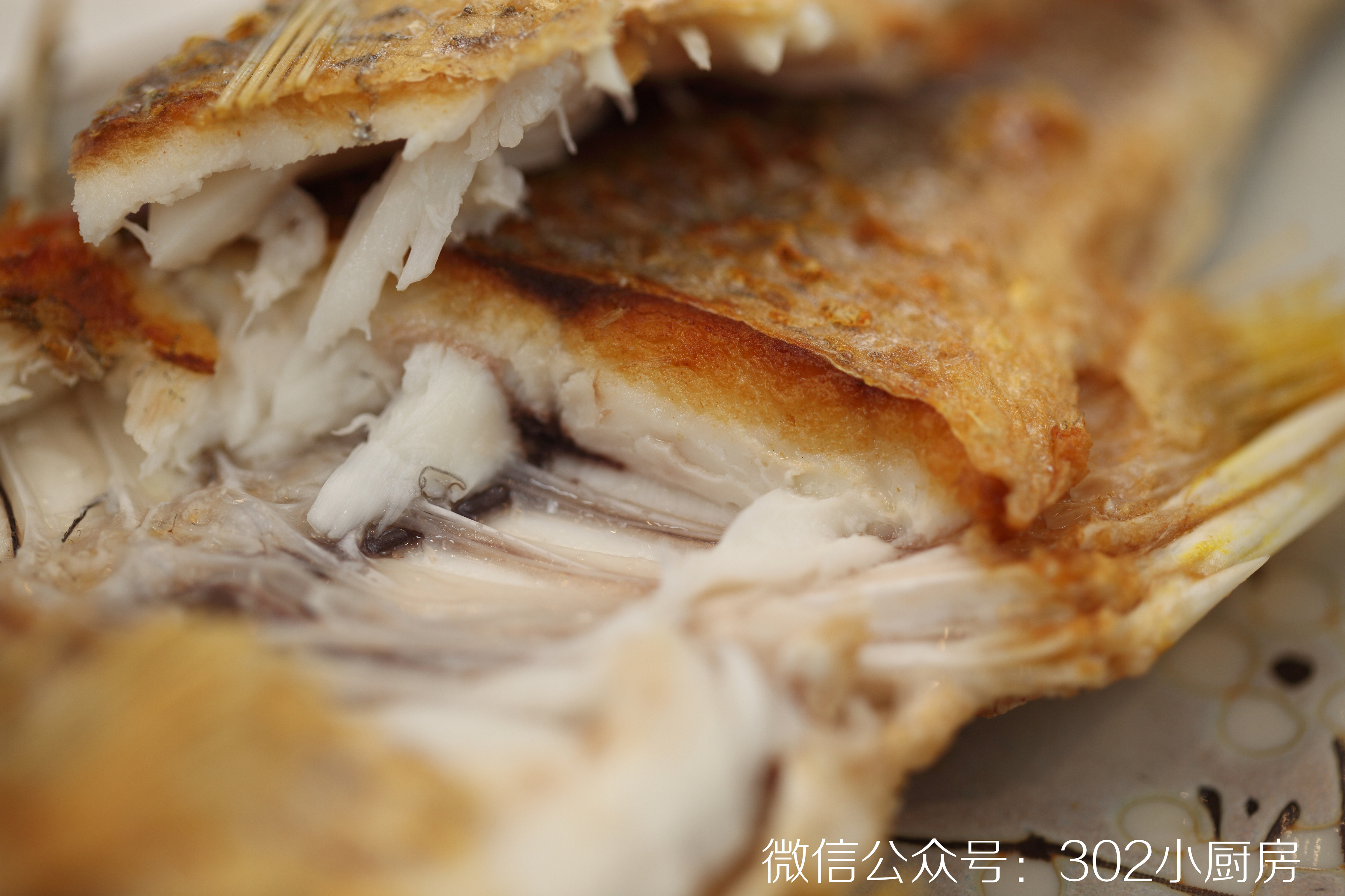【0732】干煎黄翅鱼（黄鳍棘鲷）  <302小厨房>的做法 步骤18