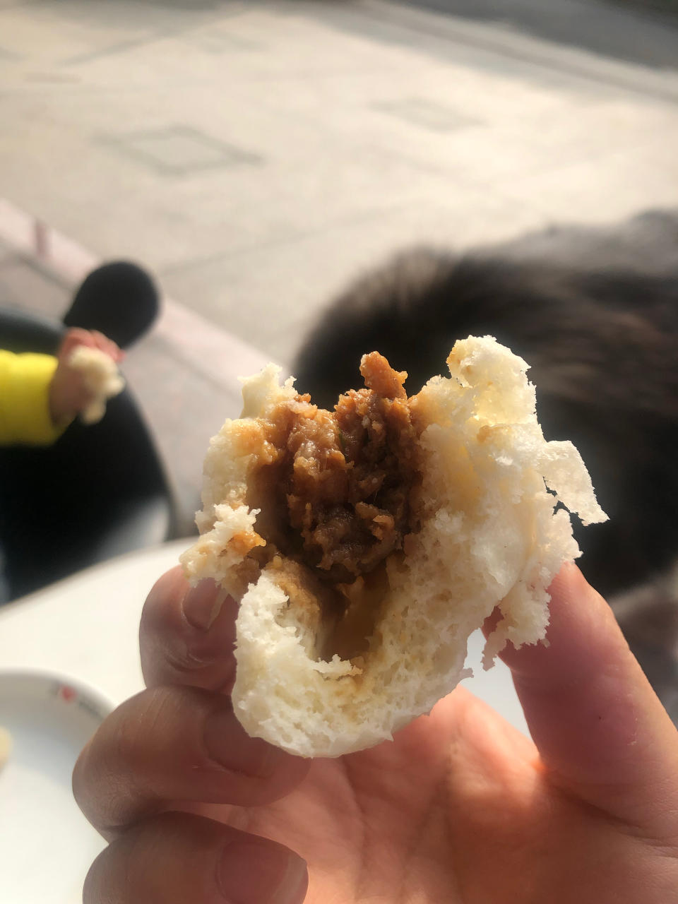 神仙配方肉包子     6个左右