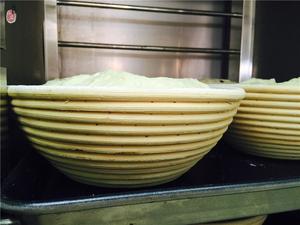 苹果图兰朵天然酵母面包制作配方（图文教程）的做法 步骤14