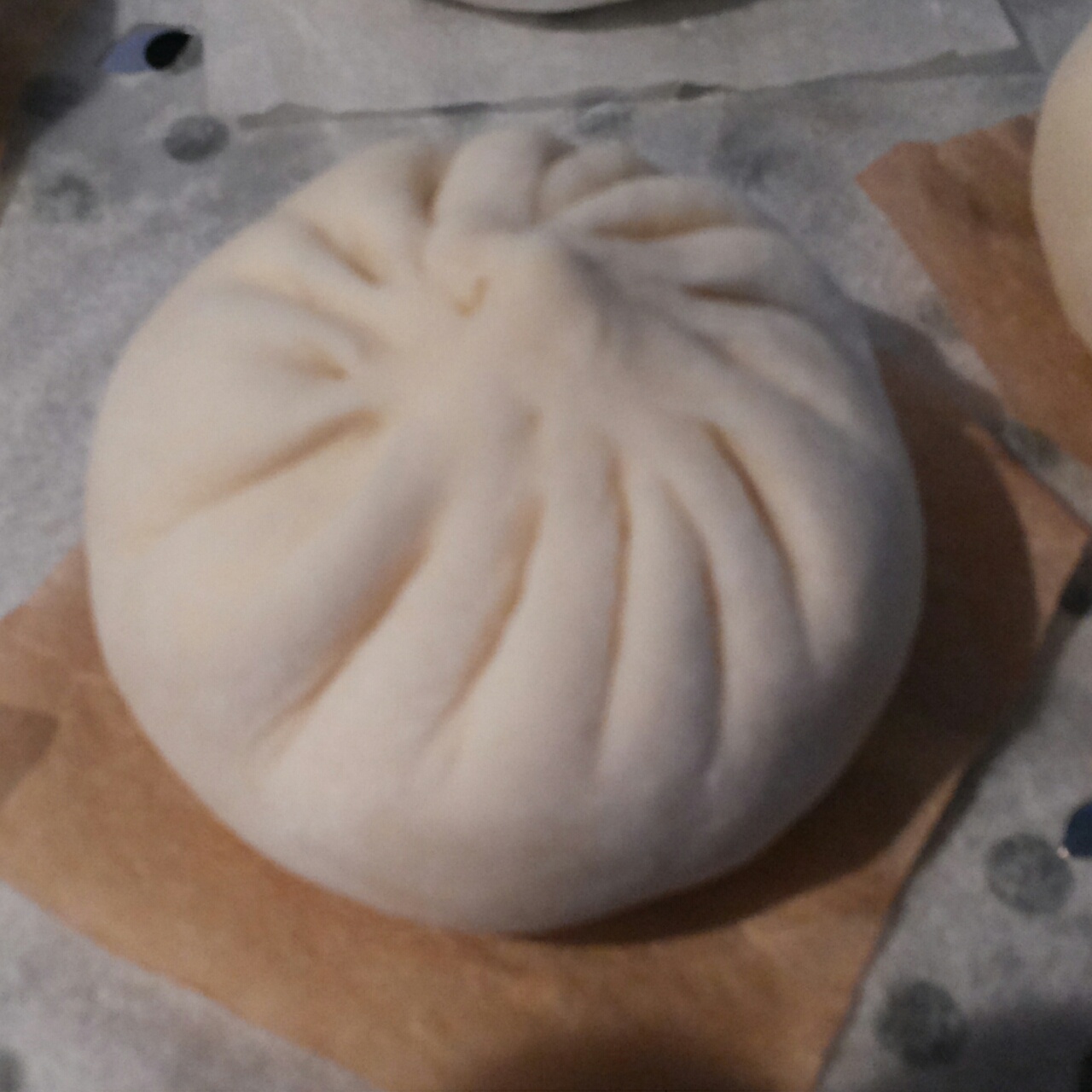 详解鲜肉大包做法。