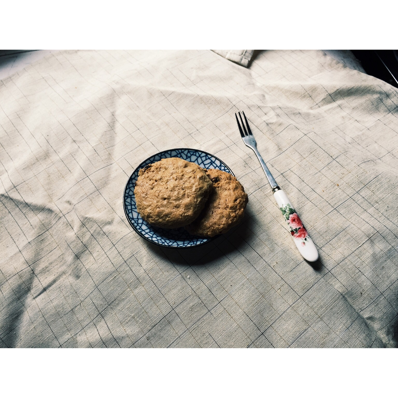 黄糖燕麦葡萄甜饼
