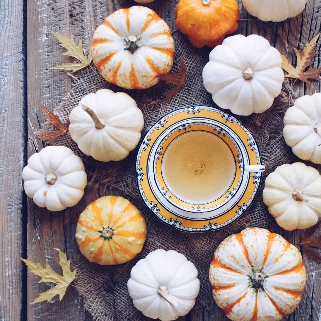 双子座的小小鱼