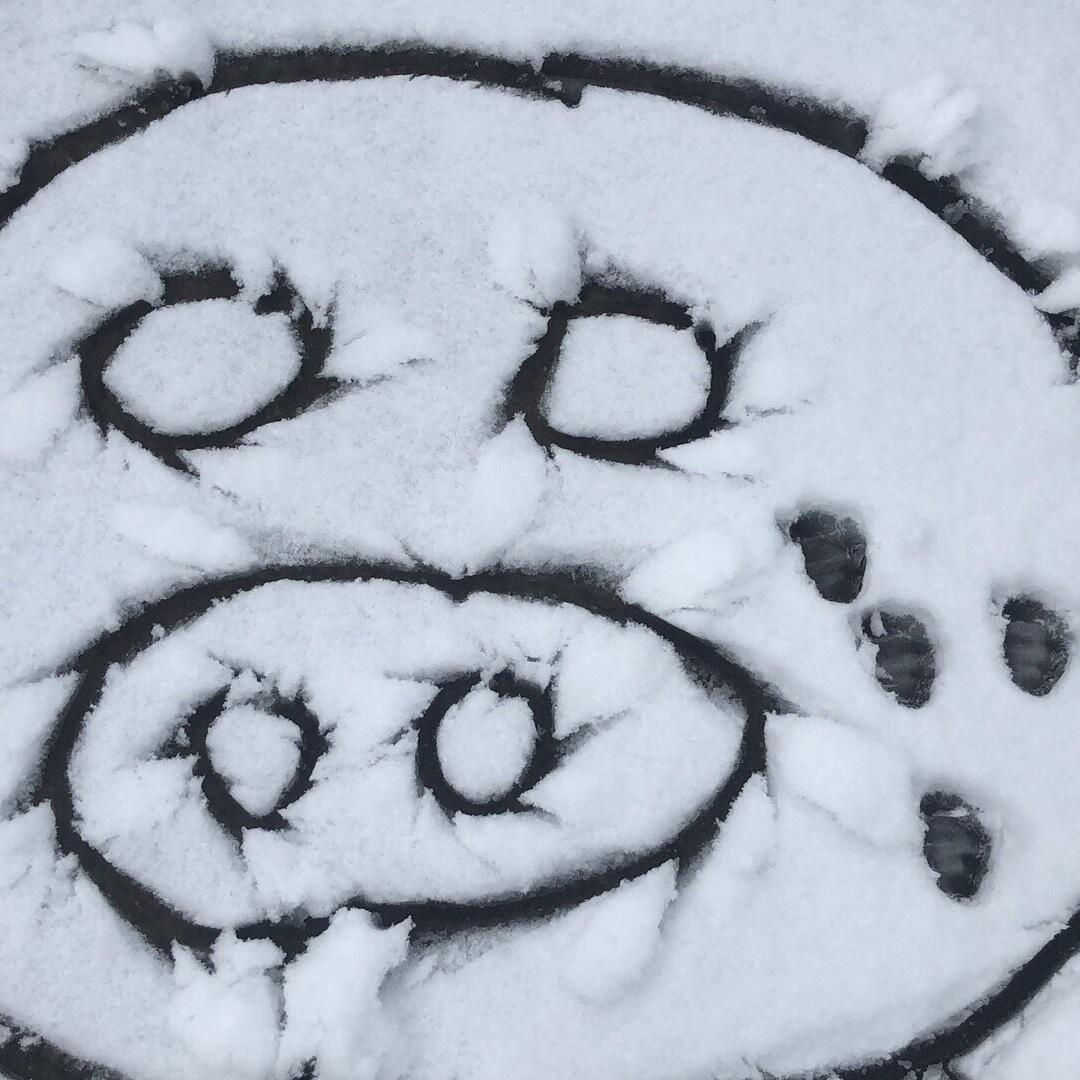 别不信我是黑店