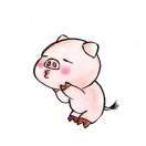 MYaooo