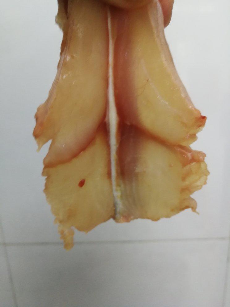 【片鱼】最详细的鱼片教程附视频