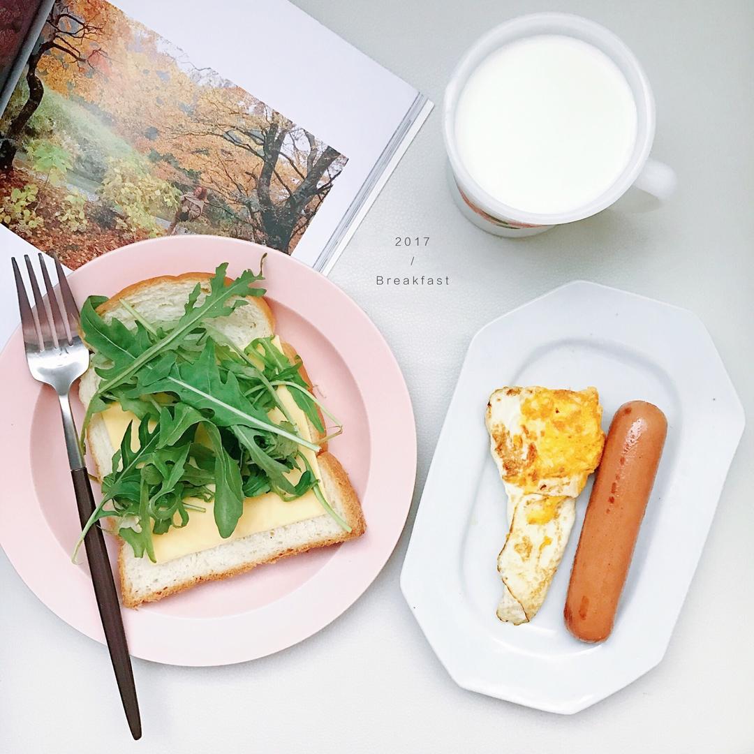 Jolly的厨房实验室