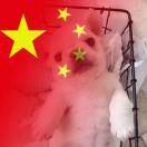 迷色彩虹