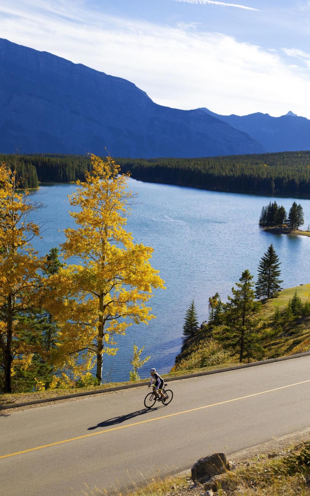 手机用户4860_5bnw