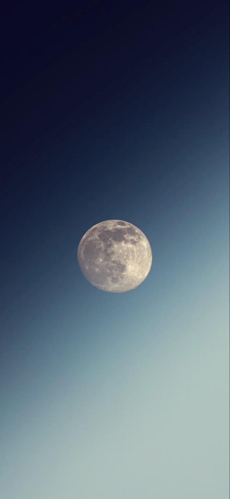 晴天太平洋的海龟