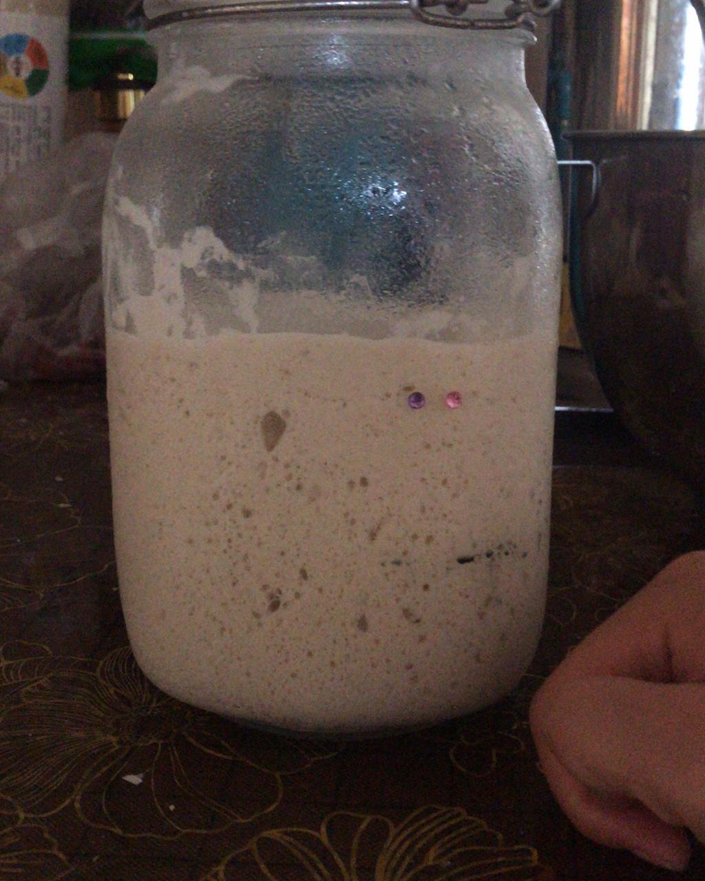 天然酵母宝宝养成记