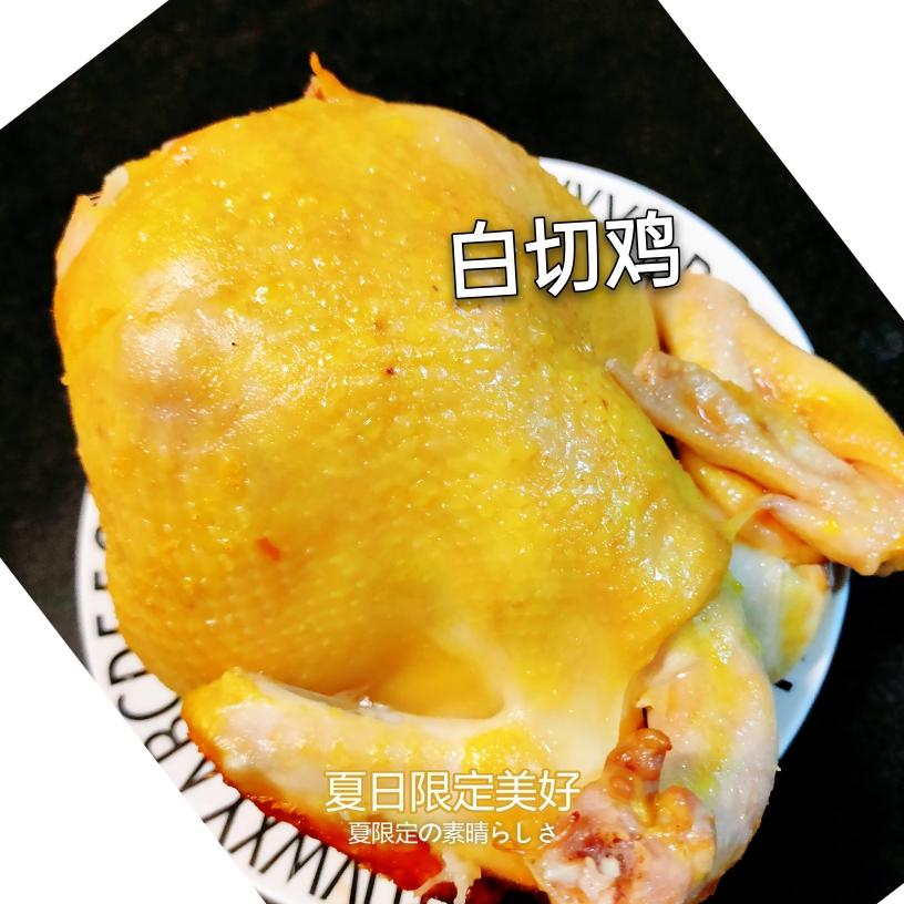 高压锅白切鸡              （家常菜系列）