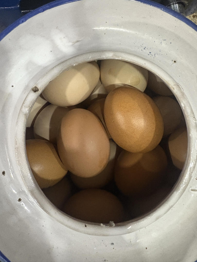 奶奶40年腌制咸鸭蛋老方子，保证100%起沙流油