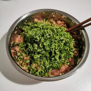 香菜猪肉饺子的做法 步骤8