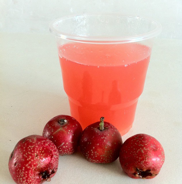 小秦1做的山楂水