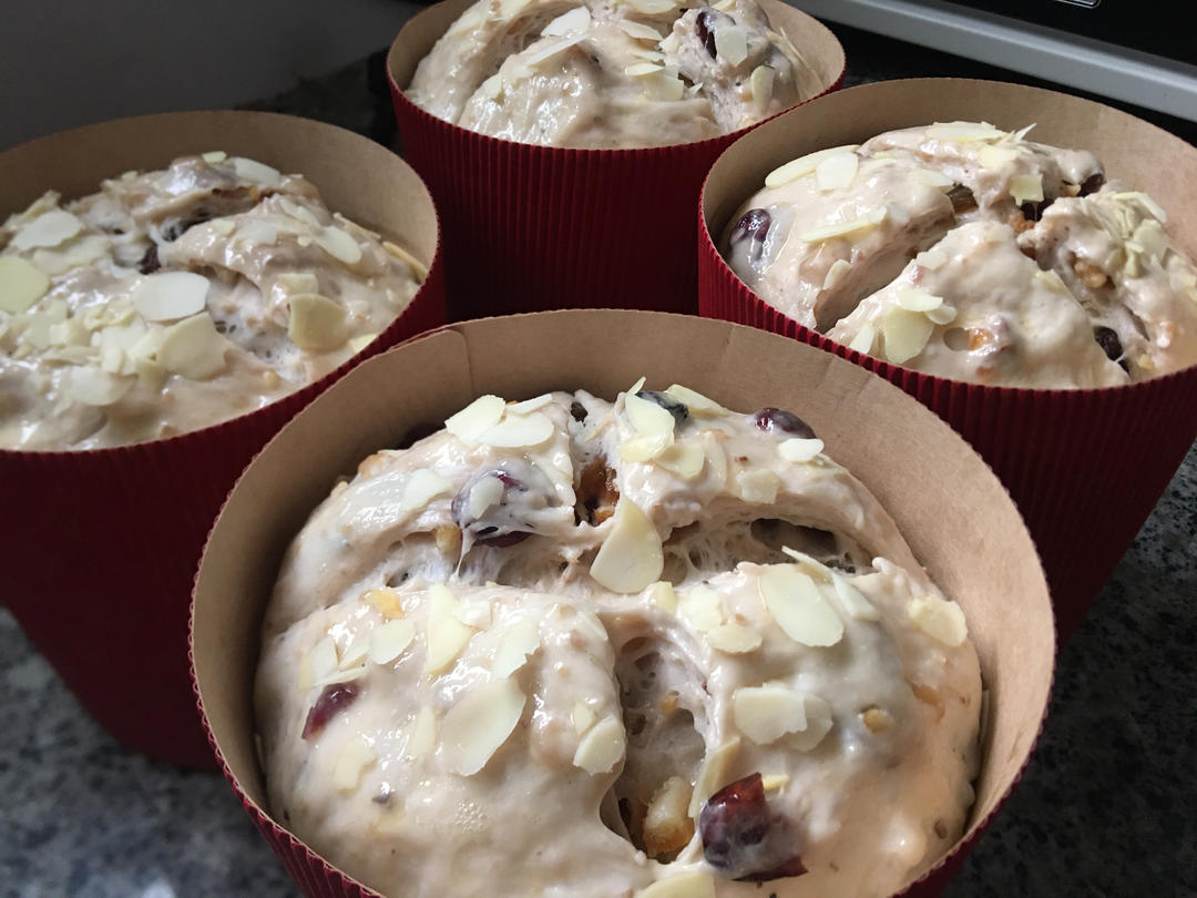 圣诞面包--潘娜托尼Panettone