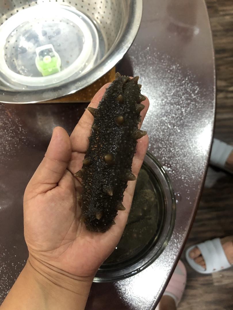 泡发海参的方法