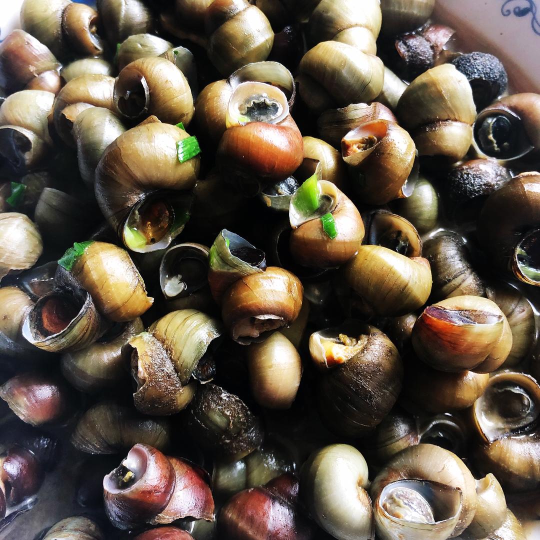 清炒螺蛳（简单味美）的做法