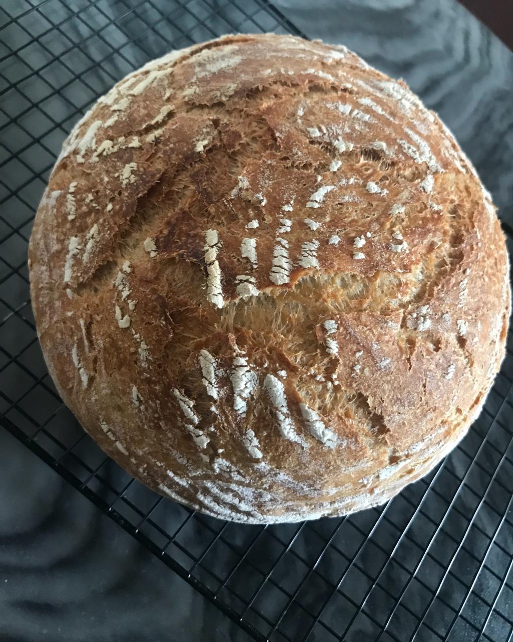 【Ken Forkish】The Saturday white bread基础欧包（附成功面包的要素一）