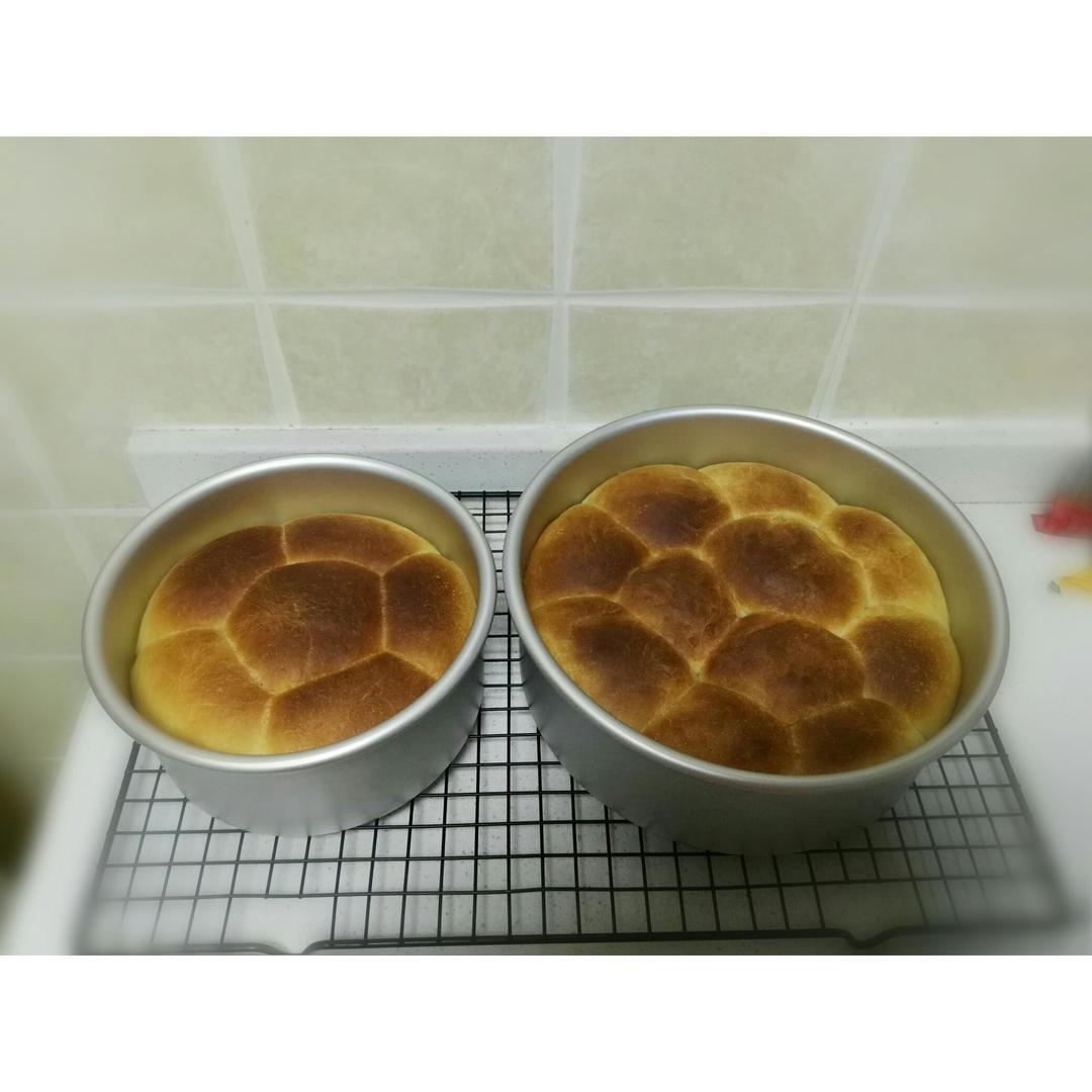 奶酪金钱小面包
