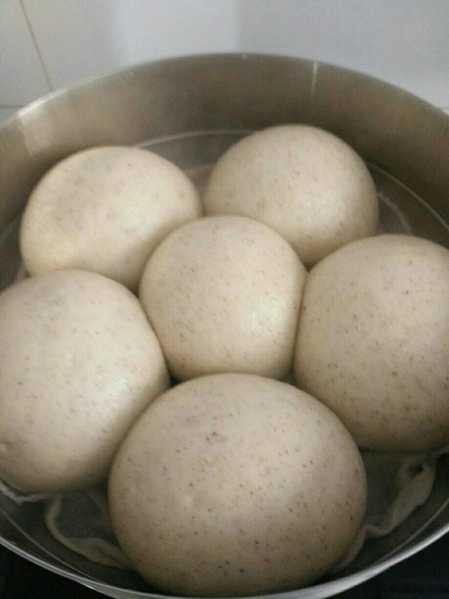 黑豆馒头的全部作品