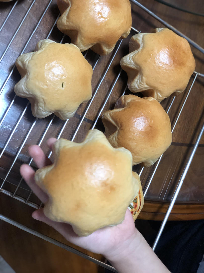 葱香肉松墨西哥面包（波兰种+烫种）