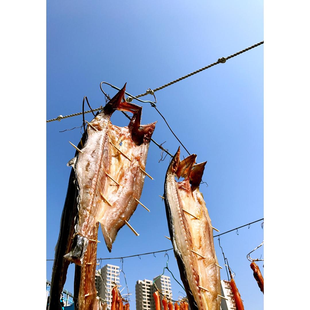 胶东甜晒鲅鱼