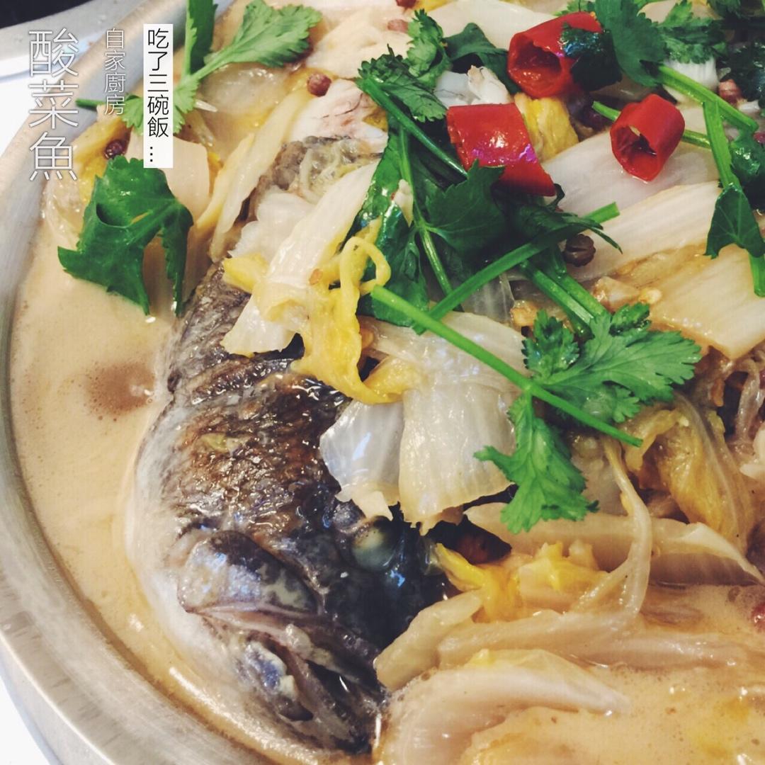酸菜鱼