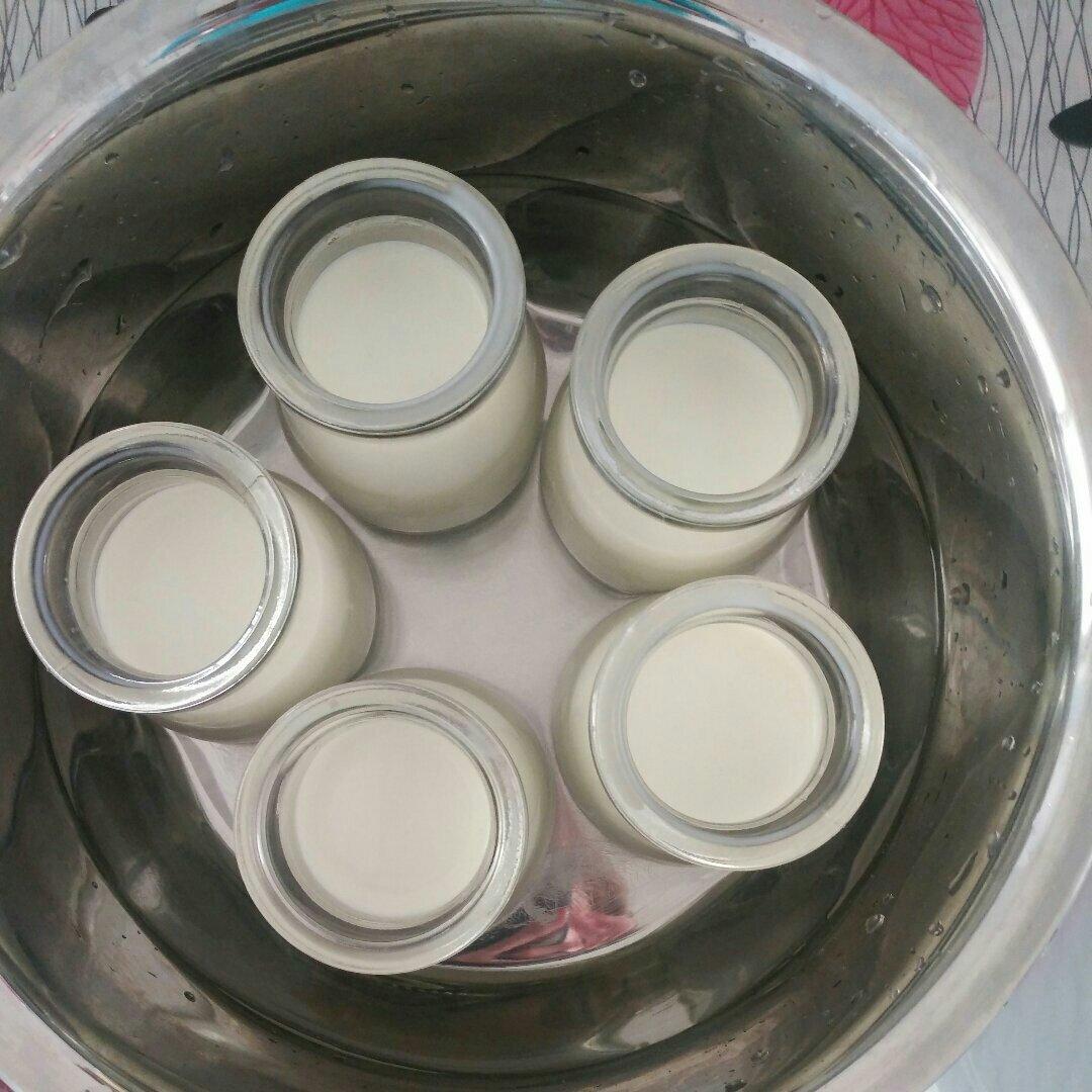 *抹茶布丁*