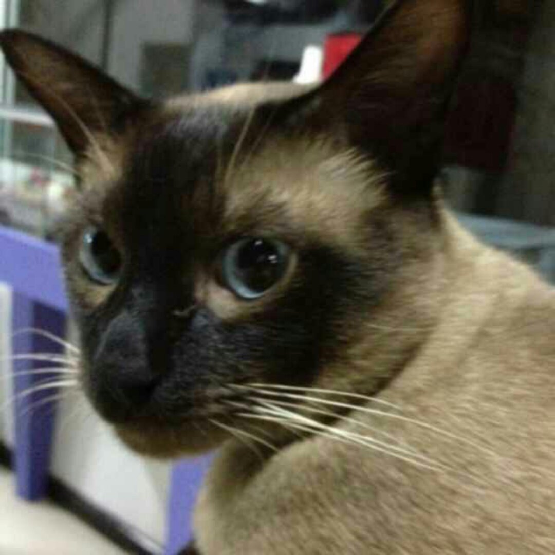 手机用户0789_leqv