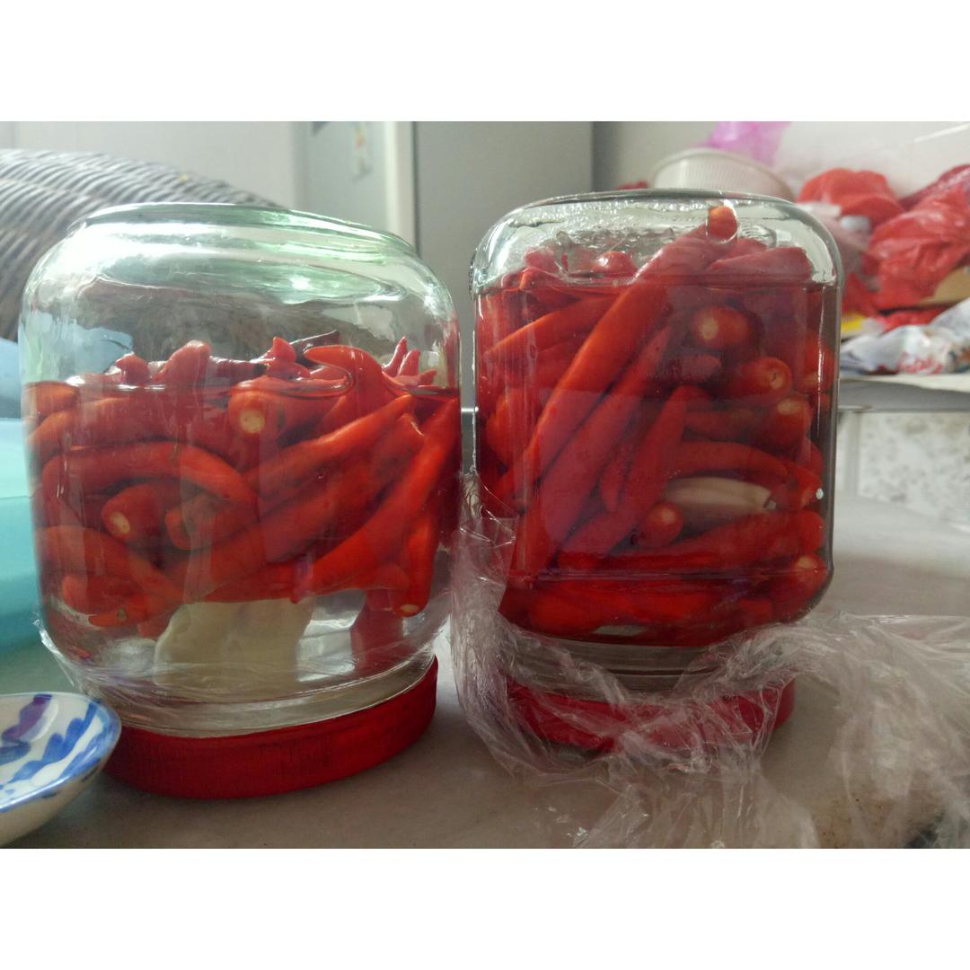 自制泡椒（腌小米椒）