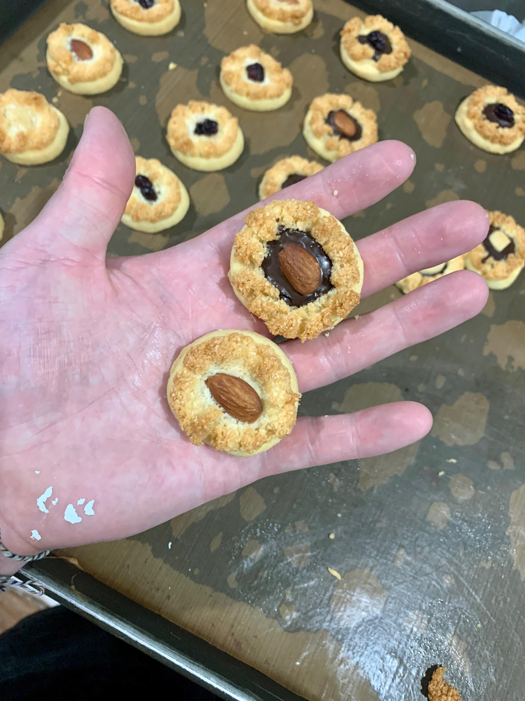 四重口感❗️ins风椰子烧曲奇❗️酥香可口巨好