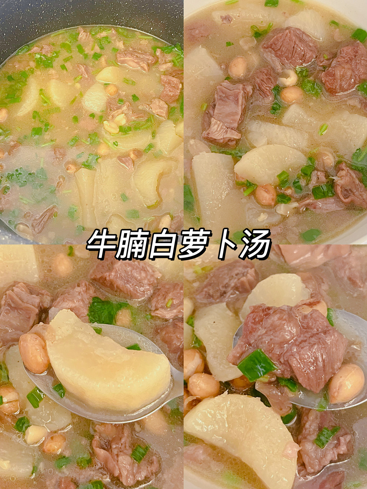天冷必备热乎乎的汤｜牛腩白萝卜汤，好鲜甜‼️的做法
