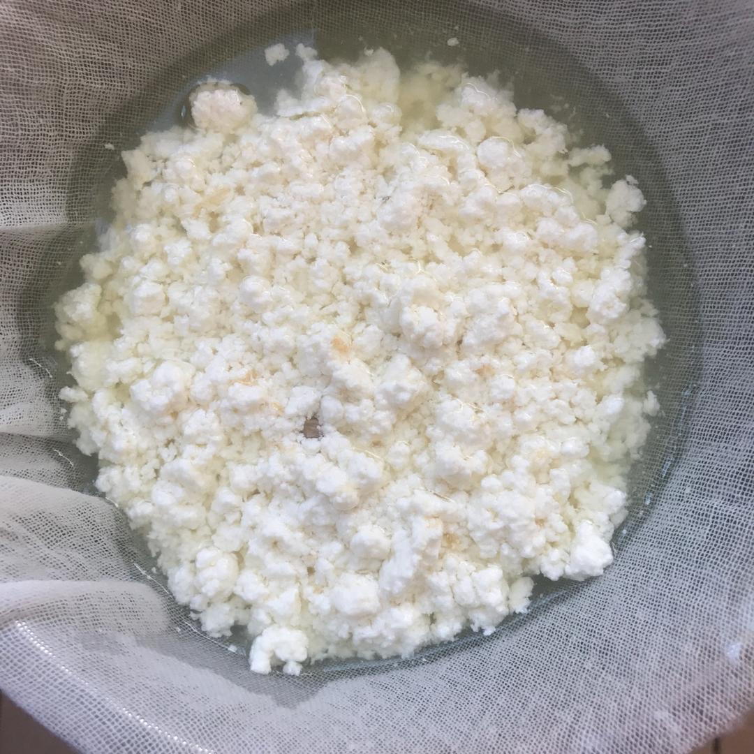 【搬运】自制paneer/奶豆腐/cottage cheese/茅屋芝士