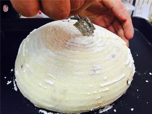 苹果图兰朵天然酵母面包制作配方（图文教程）的做法 步骤15