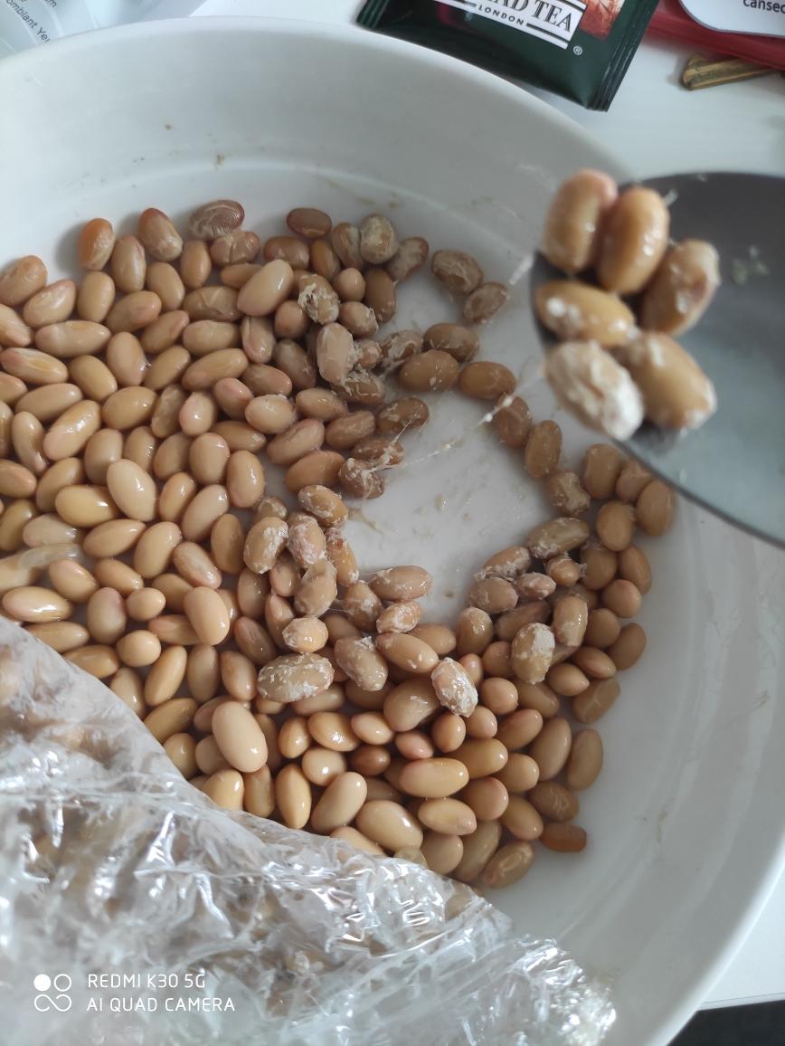 纳豆（无纳豆菌）