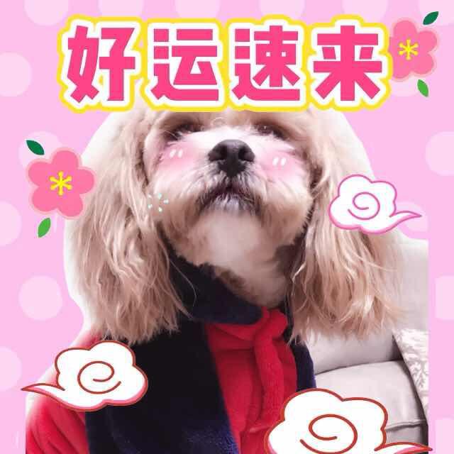 楼怀风
