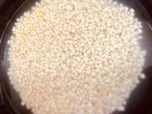 高粱米煲仔饭（低碳的做法 步骤1