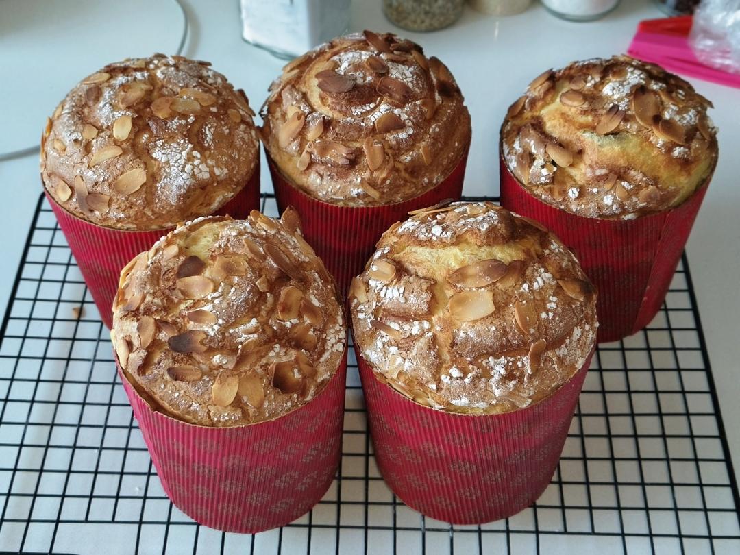 潘妮托尼(Panettone)