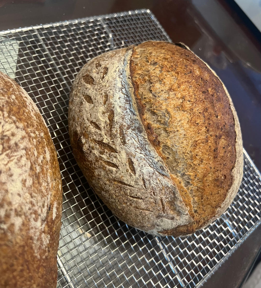 奇亚籽欧包（天然酵母）-练手